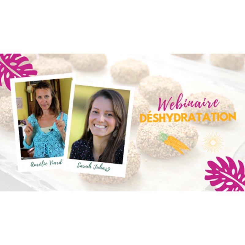 Webinar - Raw Cooking Class - Easy Dehydration Webinar - Raw Cooking Class - Easy Dehydration