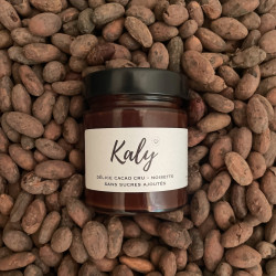 Rauwe Cacao Delight met Hazelnoten (Voorgekiemd)