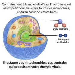 Generatore d'acqua idrogenata Pro Mizora™ Generatore d'acqua idrogenata Pro Mizora™