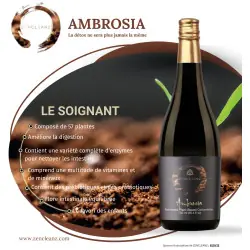 Vloeibare enzymen Ambrosia - ZenCleanz