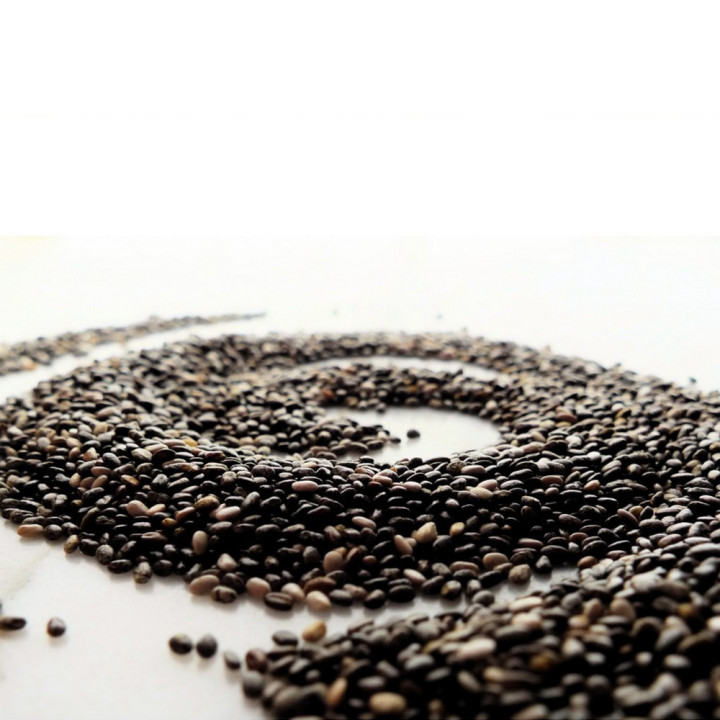 Graines pour Germoir Alimentation Vivante