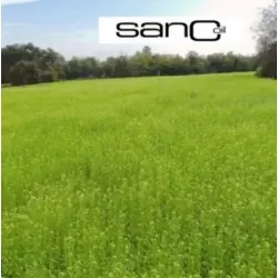 250mL organic virgin hemp seed oil | Yssé