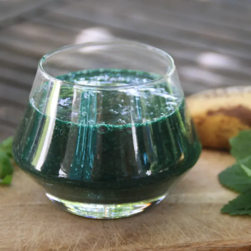 SPIRULINE AMBIANCE 3