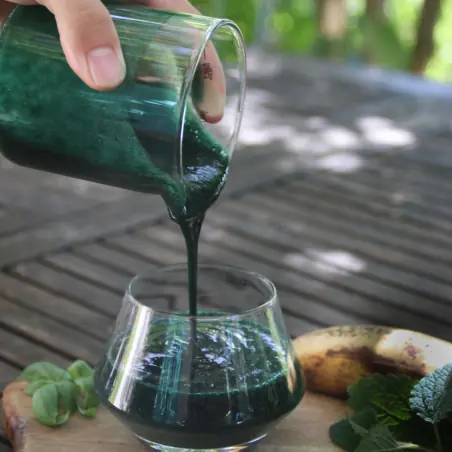 Spirulina in polvere BIO (500 g) Spirulina in polvere BIO (500 g)