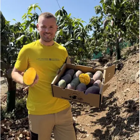 Bio-Osteen-Mangos aus Spanien - 5 kg Kiste | Biovie