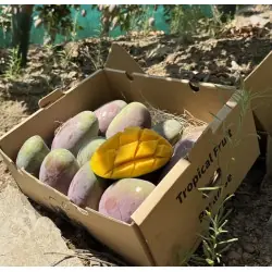 Bio-Osteen-Mangos aus Spanien - 5 kg Kiste | Biovie