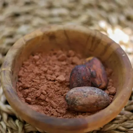 Criollo variety raw cocoa beans | RRRaw Factory