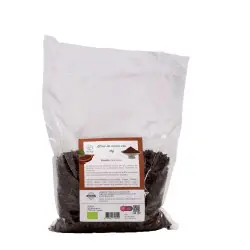 Grué de Cacau cru Bio (variedade Nacional)