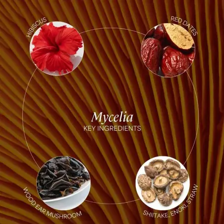 MYCELIA INGREDIENTS