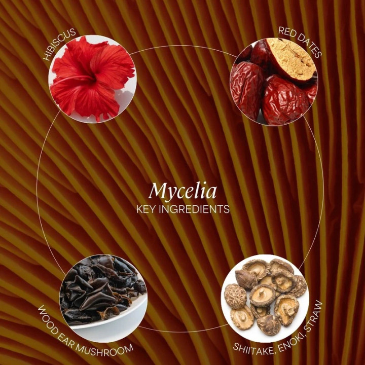 Enzimi liquidi MYCELIA ZenCleanz - Funghi fermentati | Biovie