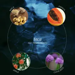 INCA