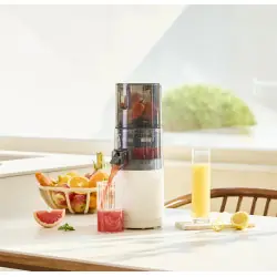 Hurom E30ST Entsafter — 100W, langsame Rotation | Biovie