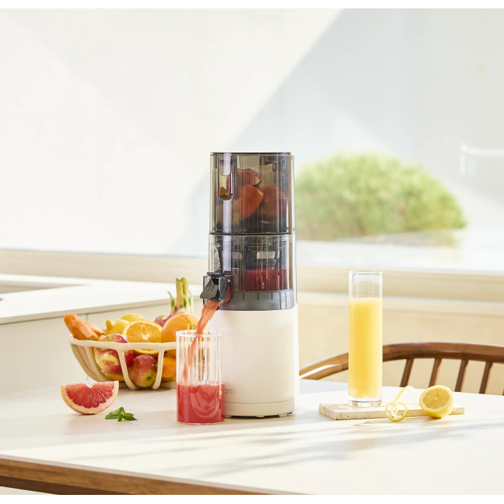 Hurom E30ST Juicer — 100W, slow rotation | Biovie