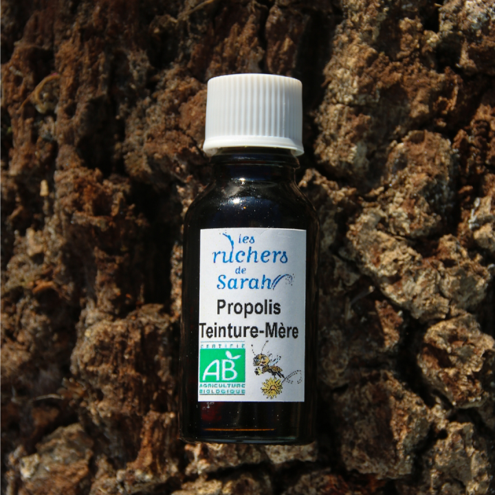 PROPOLIS