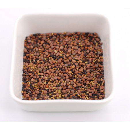 sprouted seeds sprouter sprouted seeds sprouter