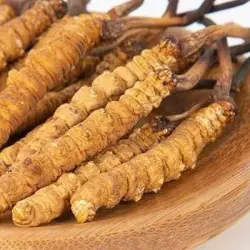 Cordyceps w proszku BIO (250 g) Cordyceps w proszku BIO (250 g)