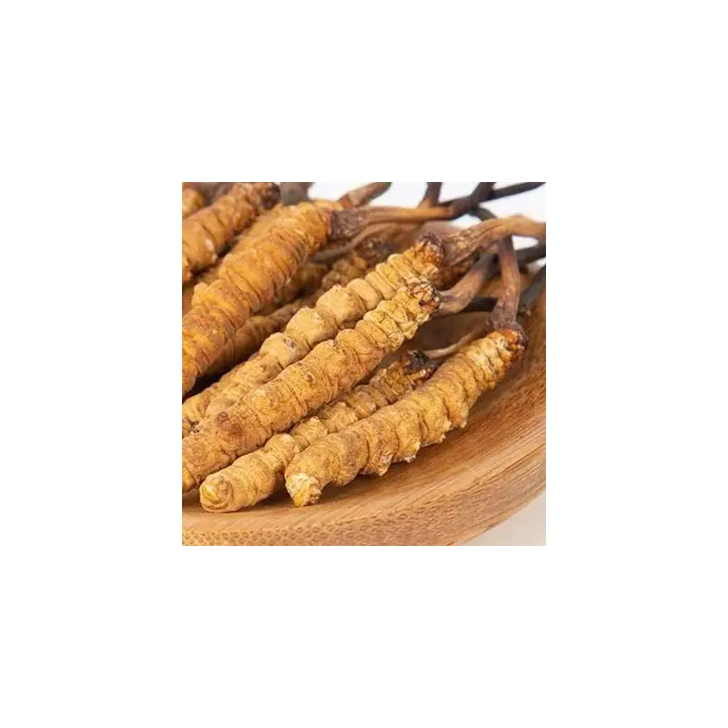 Cordyceps en polvo BIO (250 g)