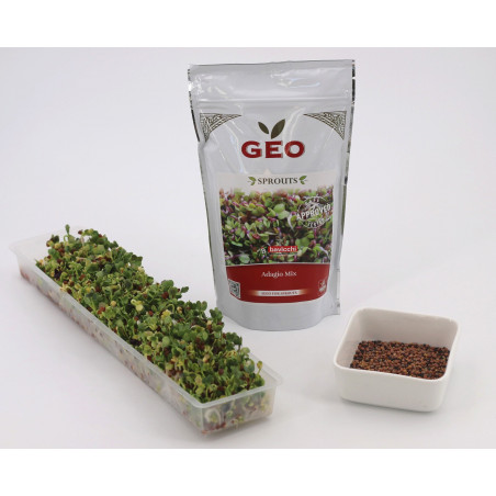 graines germés et graines à germer GEO avec emballage