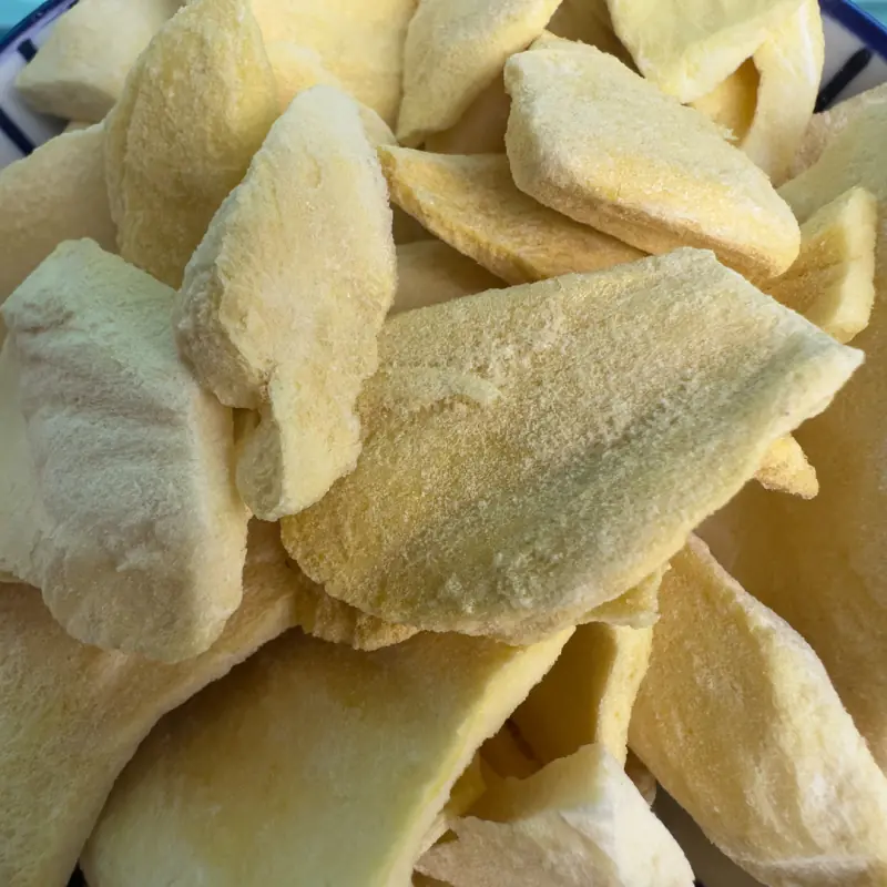 JACKFRUIT LYOPHILISE AMBIANCE