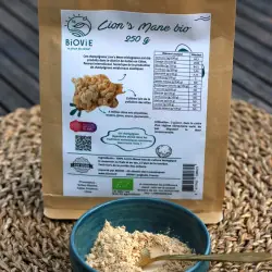 Bio-Löwenmähne-Pulver (250 g)