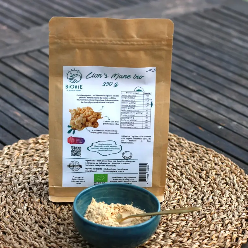 Lion's Mane in polvere BIO (250 g)