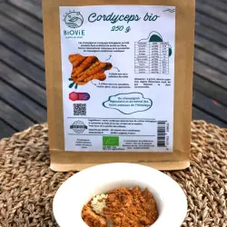 Cordyceps en polvo BIO (250 g)