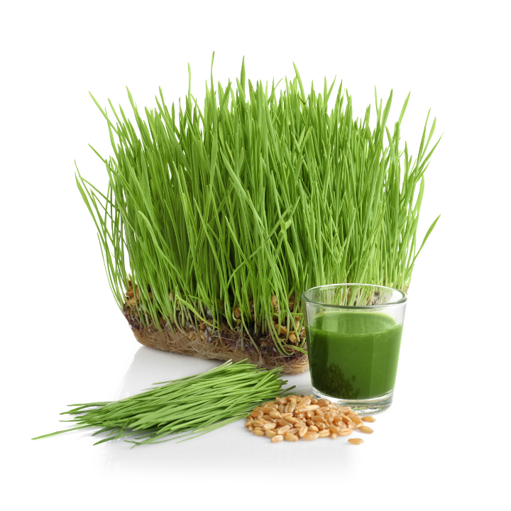 JUS HERBE EPEAUTRE