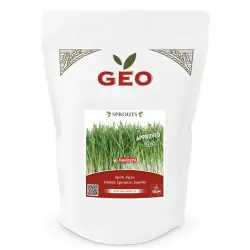 Biologische gerstzaden om te kiemen voor grasjus