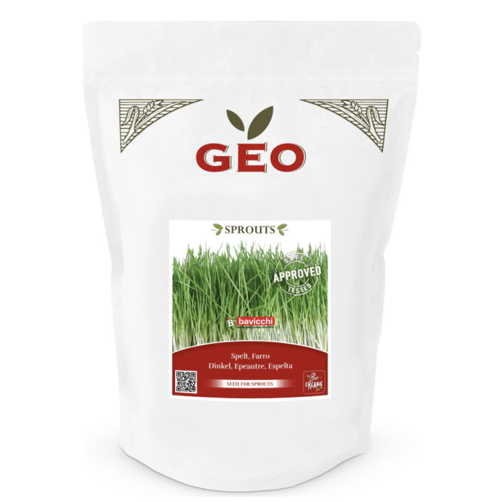 Sementes para germinar Espelta Bio (Farro) | Biovie