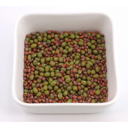 sprouted seeds recipes sprouted seeds recipes