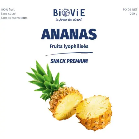 ANANAS LOGO