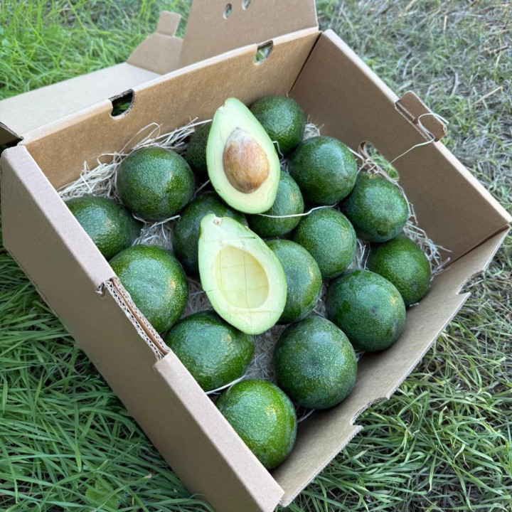 Aguacates Reed bio de España 5 kg – frutas frescas | Biovie