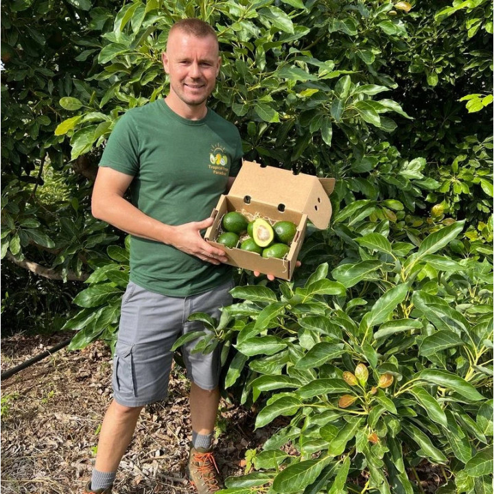 Aguacates Reed bio de España 5 kg – frutas frescas | Biovie