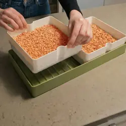 Germoir GEO Smart Greens - Microgreens Bavicchi | Biovie