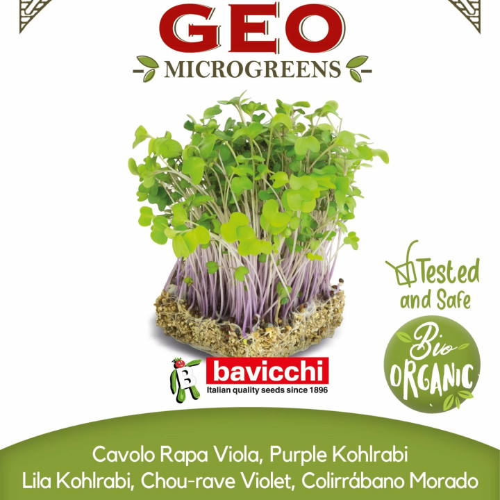 Sementes de Couve-rábano roxa bio para germinar em microgreens | Biovie