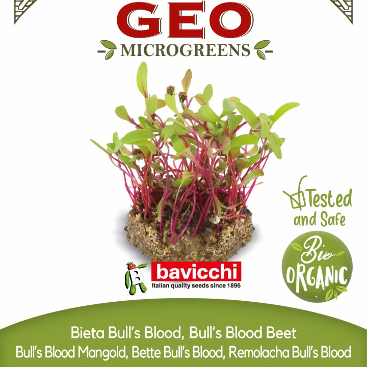 Semi di Barbabietola Bull's Blood bio per germogli in microgreens | Biovie