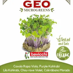 Biologische groene Mizuna zaden om te kiemen als microgroenten | Biovie