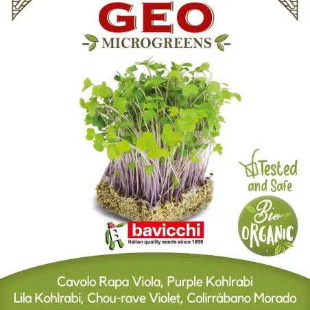 Bio Mizuna-Samen grün zum Keimen als Microgreens | Biovie