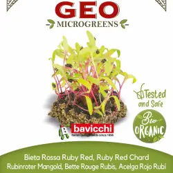 Organic Red Swiss Chard Seeds for Growing Microgreens (15 g / 250 g) | Biovie