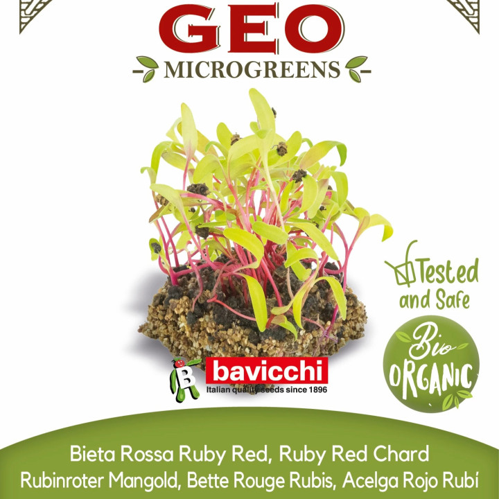 Semillas de acelga roja orgánica para cultivar en microgreens (15 g / 250 g) | Biovie