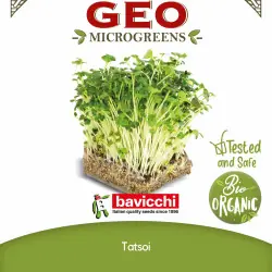 Biologische Tatsoi-zaden om te kiemen als microgroenten | Biovie
