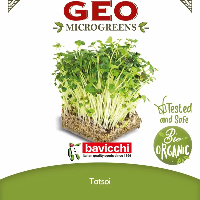 Semi di Tatsoi bio da germogliare in microgreens | Biovie