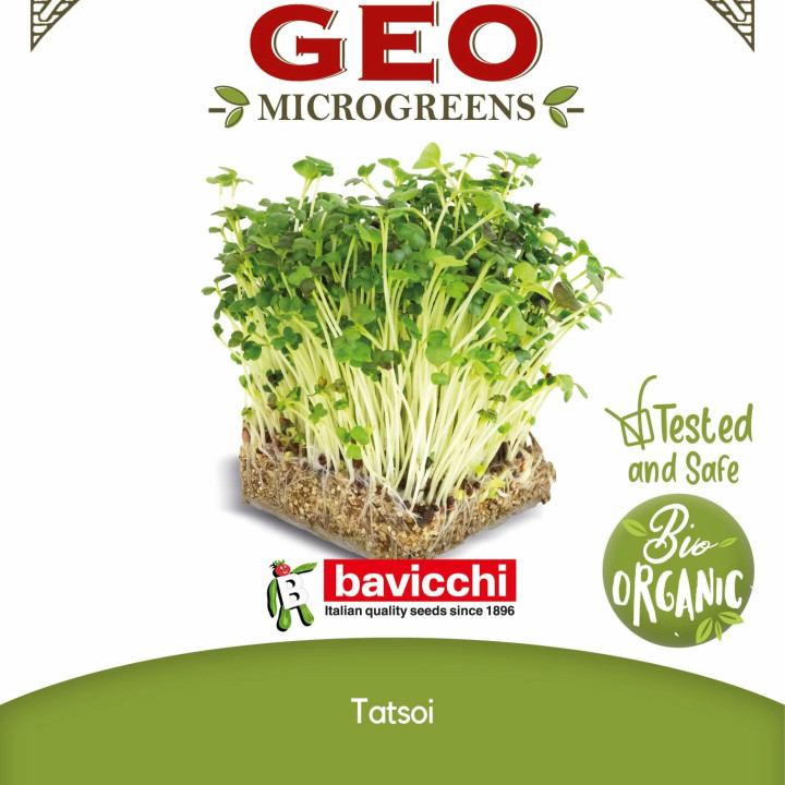 Sementes de Tatsoi bio para germinar em microgreens | Biovie