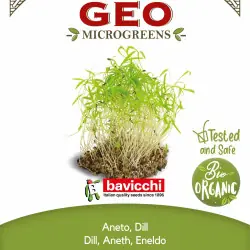 Biologische dillezaden om te kweken als microgroenten (15 g / 150 g) | Biovie