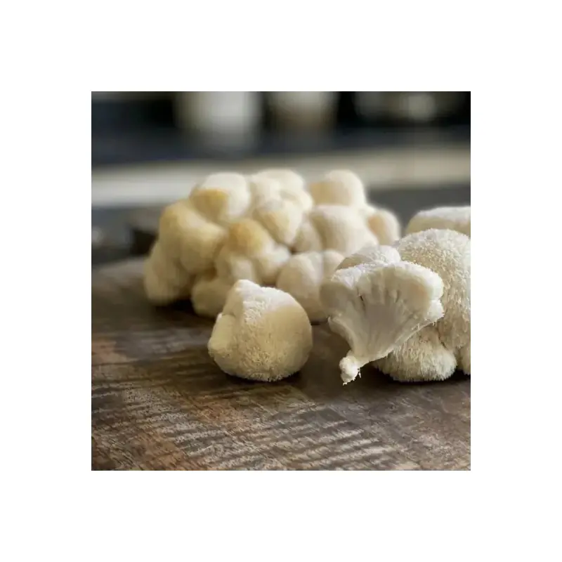 Pack Tikawa Focus - Café de Lupin + Lion's Mane Bio | Biovie