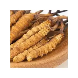 Pack Tikawa Vitalidade - Café de Tremoço + Cordyceps Bio | Biovie Pack Tikawa Vitalidade - Café de Tremoço + Cordyceps Bio | Biovie