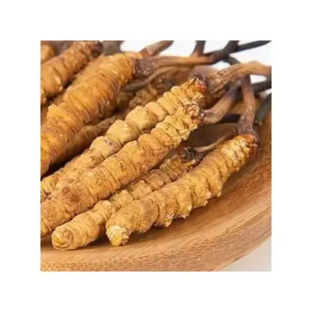 Pack Tikawa Vitalidade - Café de Tremoço + Cordyceps Bio | Biovie