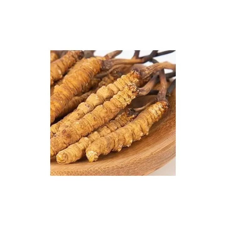 Pack Tikawa Vitalidade - Café de Tremoço + Cordyceps Bio | Biovie