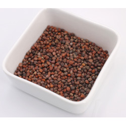 graines germees recettes graines germees recettes