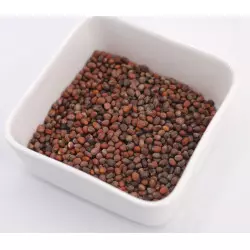 graines germees recettes graines germees recettes